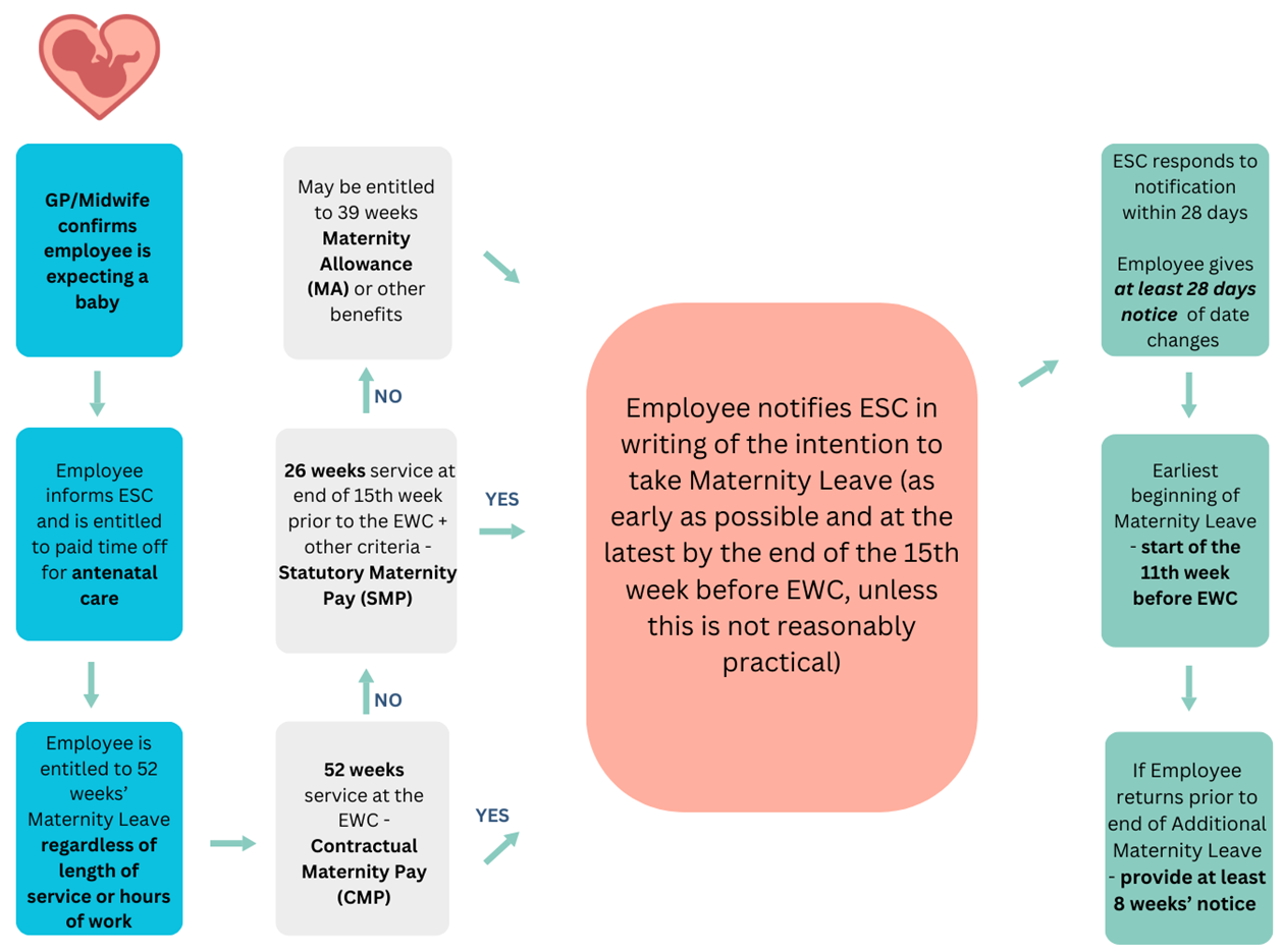 Maternity process simplified and shown as a flowchart. All details outlined in the text.