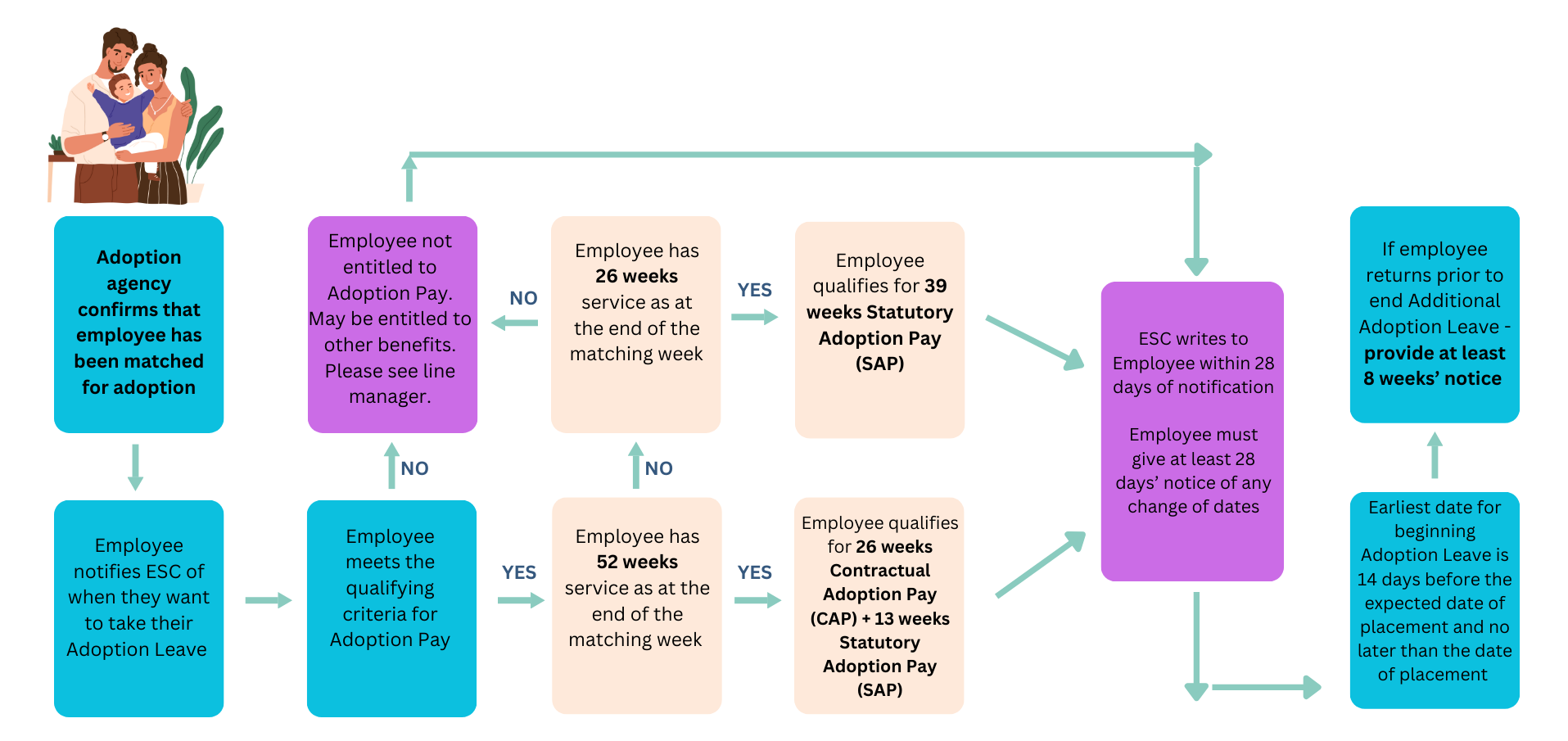 Adoption process simplified and shown as a flowchart. All details outlined in the text.