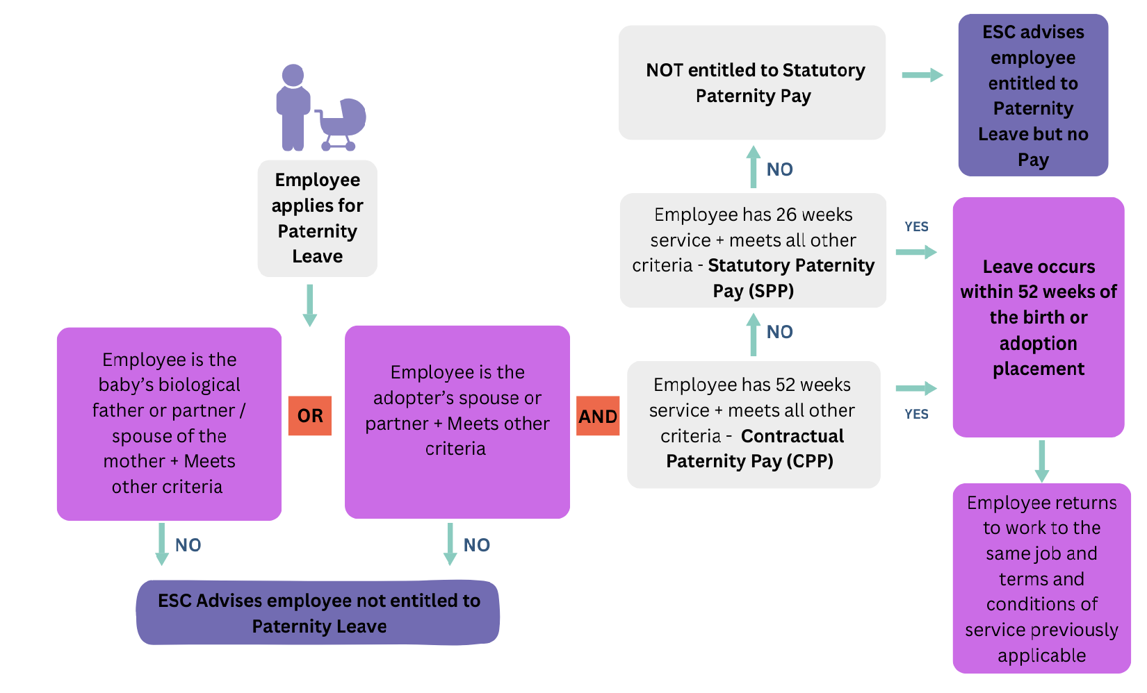 Paternity process simplified and shown as a flowchart. All details outlined in the text.